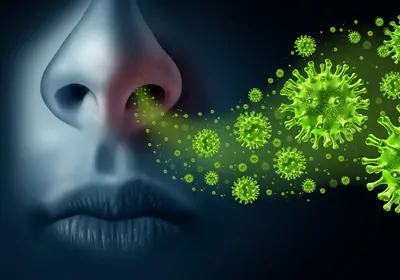 illustration of green viral particles flowing into a person's nostril illustration of green viral particles flowing into a person's nostril